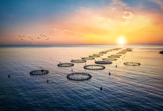 Hygiene and Disease in UK Aquaculture: Challenges and Controls