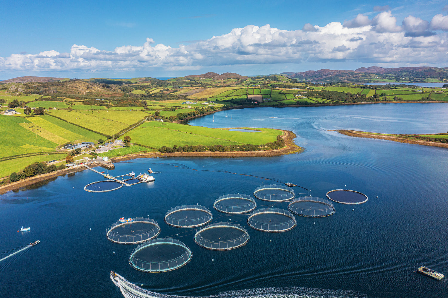 Aerial view of fish farming nets which are disinfected and treated using Virkon Aquatic